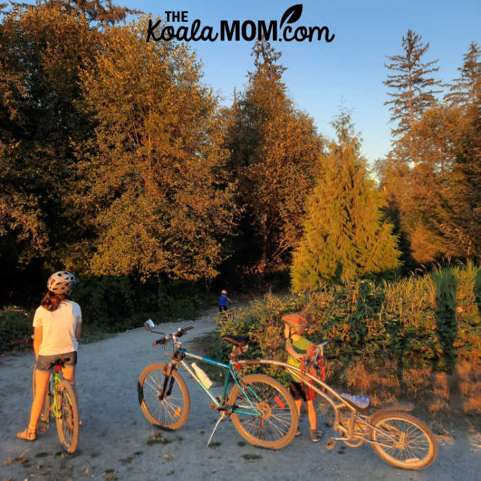 Family taking a break on a bike ride at sunset.