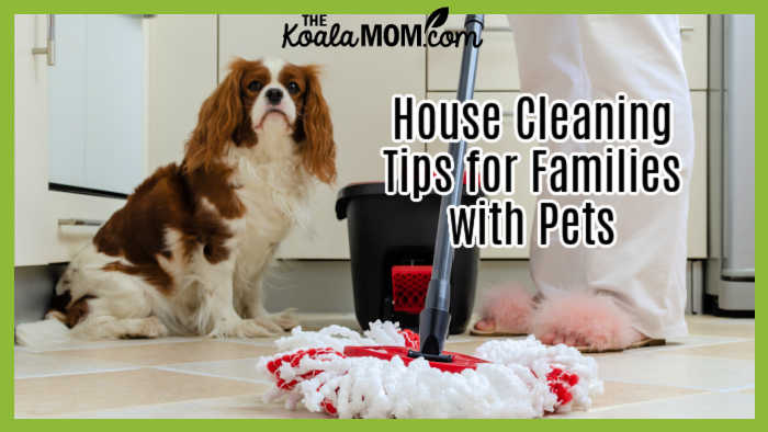 House Cleaning Tips for Families with Pets.