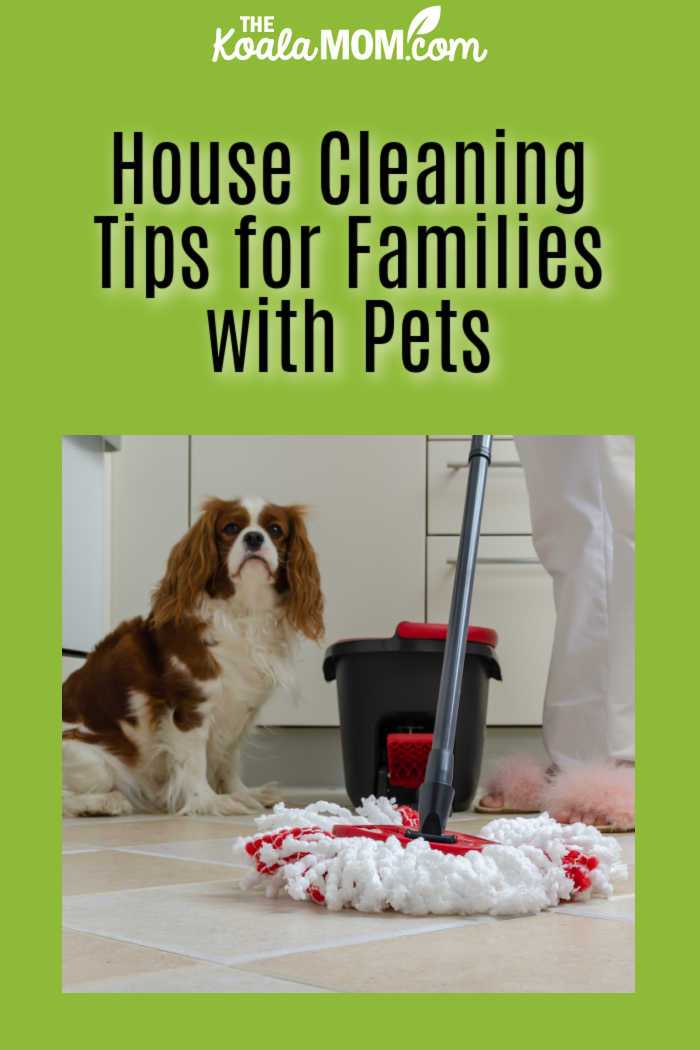House Cleaning Tips for Families with Pets