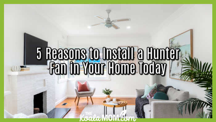 5 Reasons to Install a Hunter Fan in Your Home Today. Photo of a white-toned living room with ceiling fan by Mitchell Luo on Unsplash