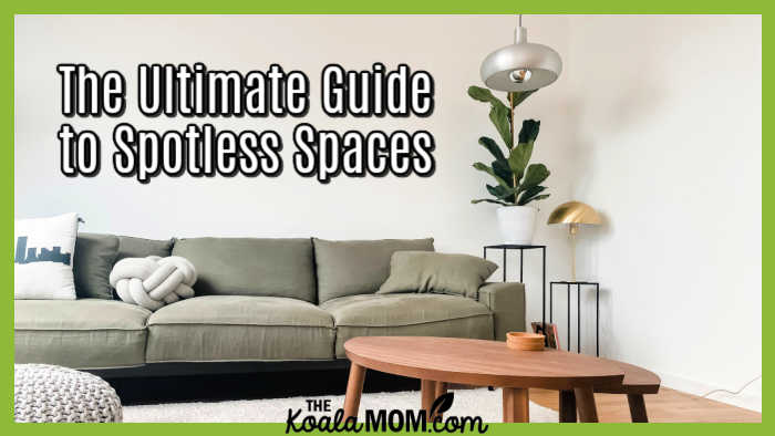 The Ultimate Guide to Spotless Spaces. Photo of grey couch with brown coffee table and a houseplant by Katja Rooke on Unsplash
