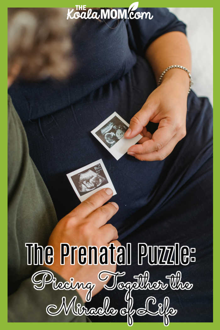 The Prenatal Puzzle: Piecing Together the Miracle of Life. Photo of woman holding two ultrasound photos near her pregnant belly by Amina Filkins via Pexels.