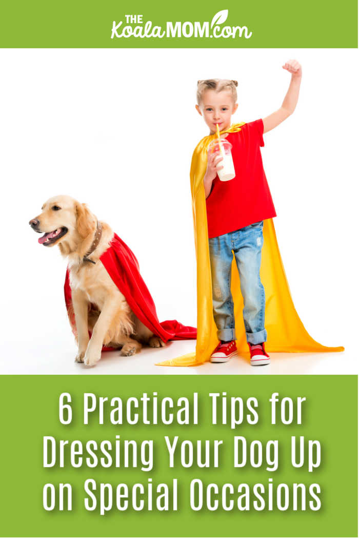 6 Practical Tips for Dressing Your Dog Up on Special Occasions. Photo of Supergirl with her Superdog via Depositphotos.