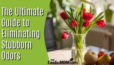 The Ultimate Guide to Eliminating Stubborn Odors. Image of tulips in a vase on a table by Anh Tuan Phan from Pixabay.