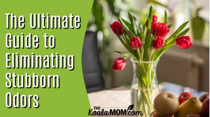 The Ultimate Guide to Eliminating Stubborn Odors. Image of tulips in a vase on a table by Anh Tuan Phan from Pixabay.