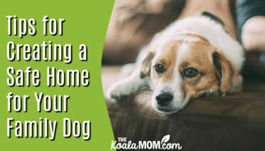 Tips for Creating a Safe Home for Your Family Dog. Photo of dog on couch with head resting on his paws by Robert Larsson on Unsplash.