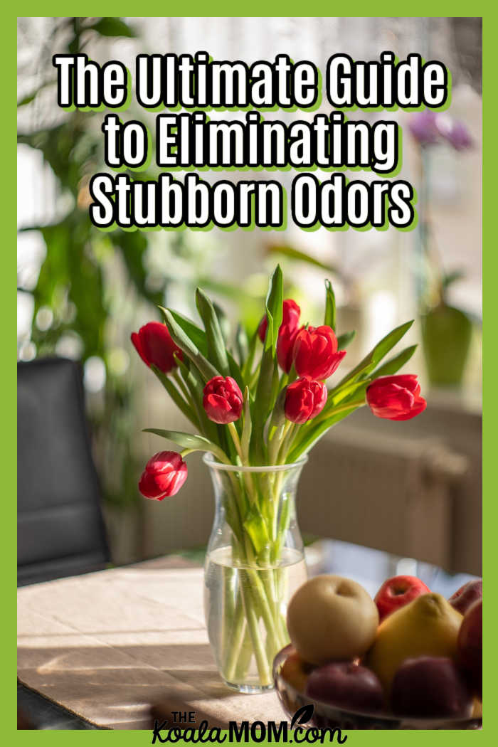 The Ultimate Guide to Eliminating Stubborn Odors. Image of tulips in a vase on a table by Anh Tuan Phan from Pixabay.