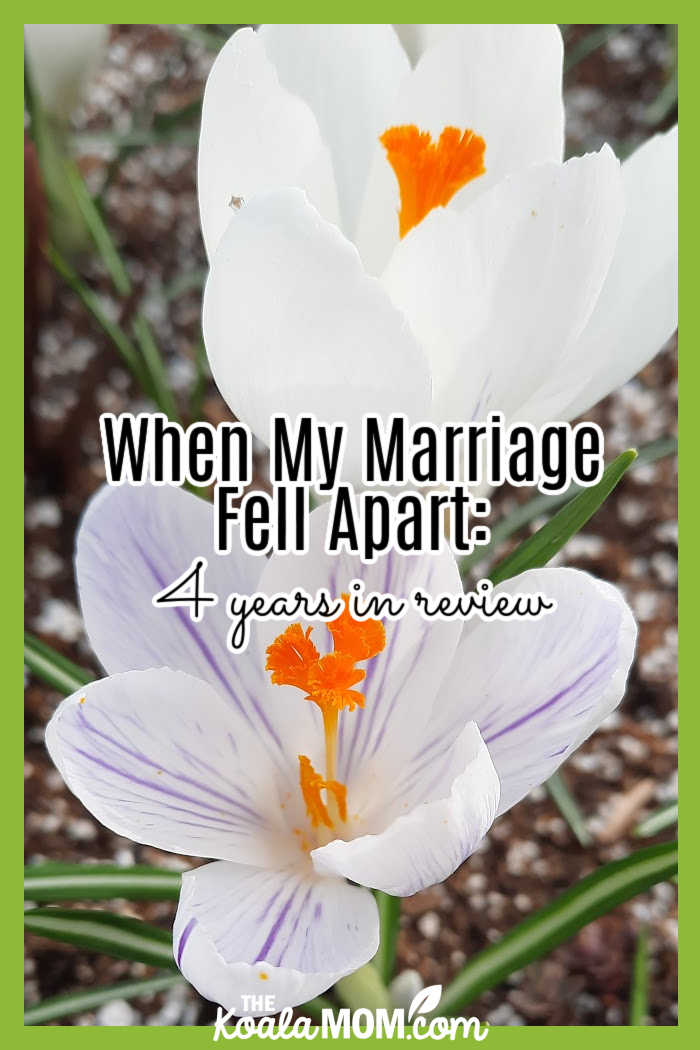 When My Marriage Fell Apart: 4 years in review. Photo of white flowers by Bonnie Way.