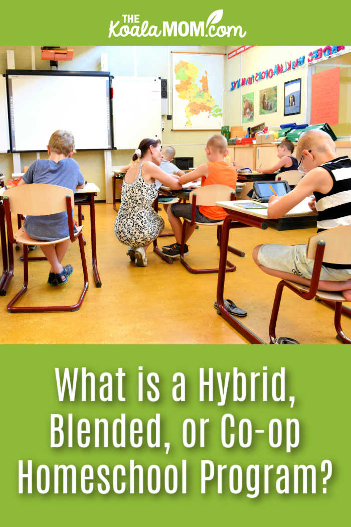 What is a Hybrid / Blended / Co-op Homeschool Program? Photo of teacher kneeling beside student in a desk by Arthur Krijgsman via Pexels.