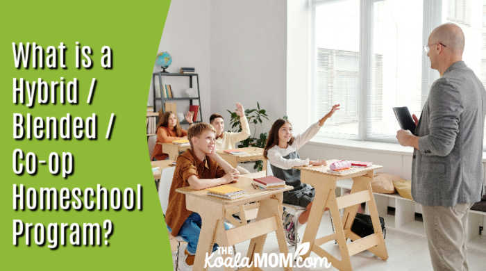 What is a Hybrid / Blended / Co-op Homeschool Program? Photo of teacher in classroom with students by Max Fischer via Pexels.