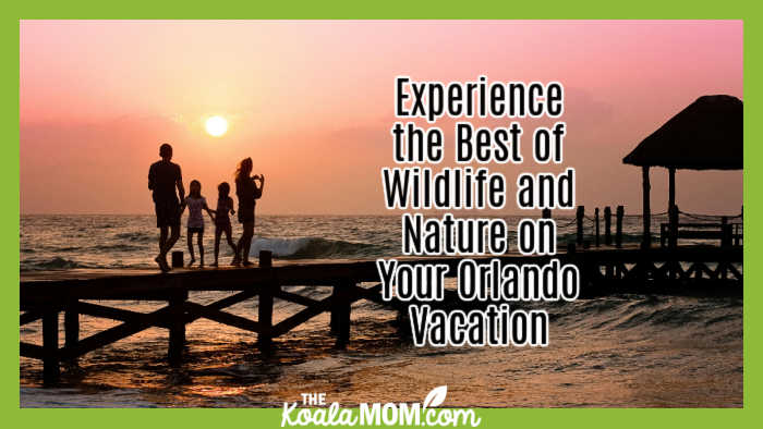 Experience the Best of Wildlife and Nature on Your Orlando Vacation. Photo of family walking on a pier at sunset by Pixabay.