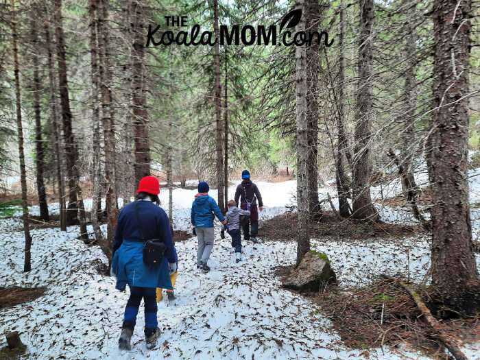 Kids hiking in the snow at Manning Park.