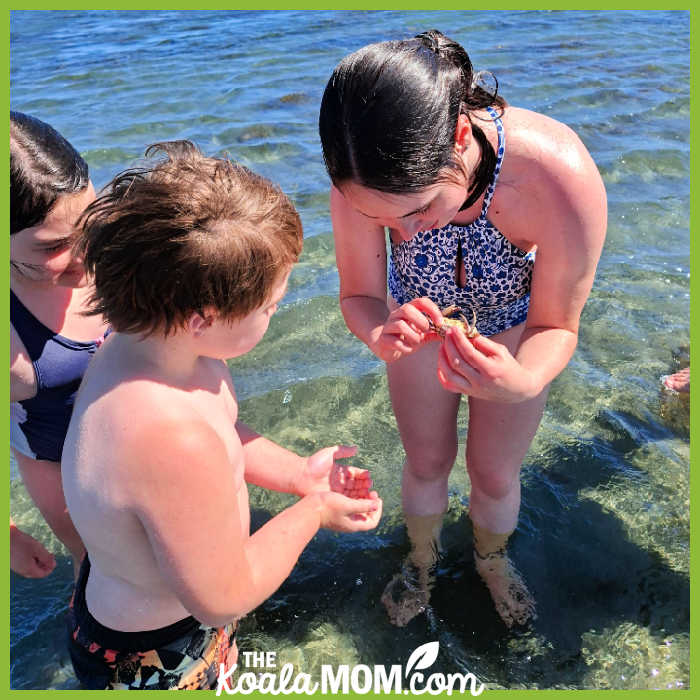 Teenager holds a crab at the beach while her younger siblings look at it too. Photo by Bonnie Way.