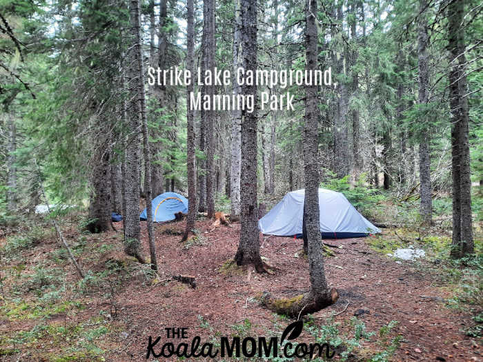 Two tents set up in the woods at Strike Lake Campground in Manning Park.