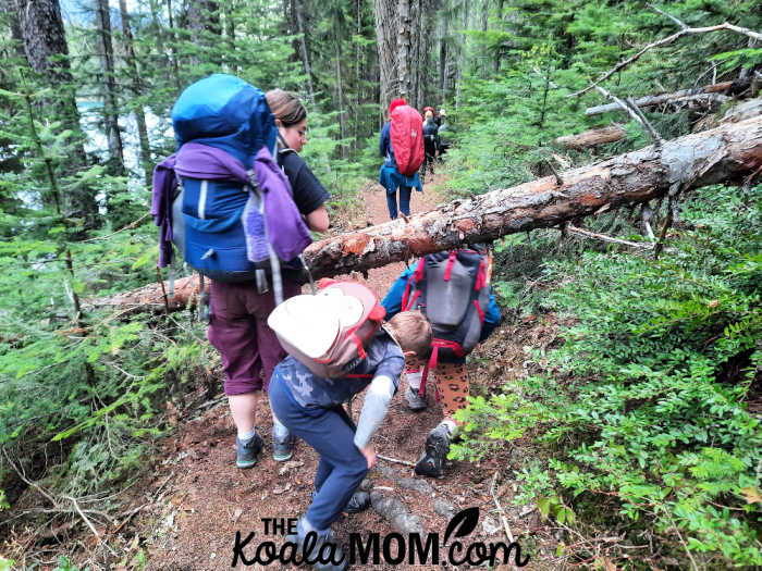 Kids with packs on ducking under a tree across the trail.