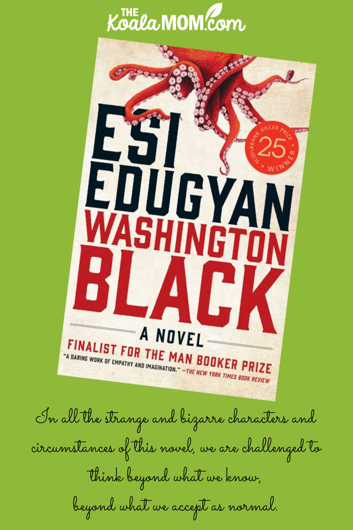 "In all the strange and bizarre characters and circumstances of the novels, we are challenged to think beyond what we know, beyond what we accept as normal." review of Esi Eduvyan's novel Washington Black by Bonnie Way.