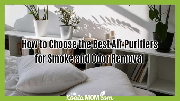 How to Choose the Best Air Purifiers for Smoke and Odor Removal. Photo of white bedroom by cottonbro studio via Pexels.