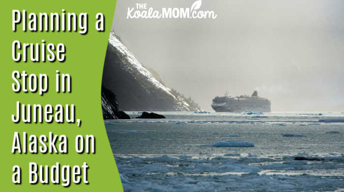 Alaskan Cruise Shore Excursions in Juneau: Planning a Cruise Stop in Juneau on a Budget. Photo of cruise ship near mountains in icy, misty ocean by Fernando B M via Pexels.