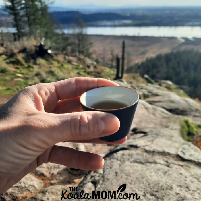 Bonnie holds an Umi tea cup while admiring the view from High Knoll in Minnekhada Park.
