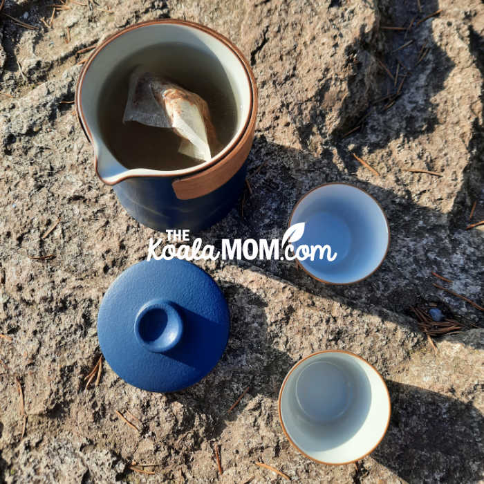 Umi Travel Tea set on rocks, with tea bags brewing in pot. Photo by Bonnie Way.