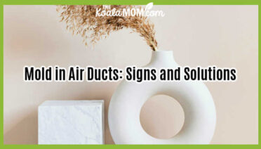 Mold in Air Ducts: Signs and Solutions. Photo of wispy grass in a white vase against a white wall by www.kaboompics.com via Pexels.
