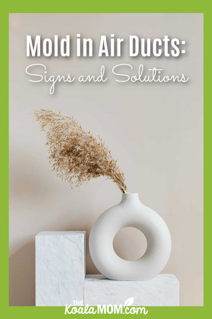 Mold in Air Ducts: Signs and Solutions. Photo of wispy grass in a white vase against a white wall by www.kaboompics.com via Pexels.