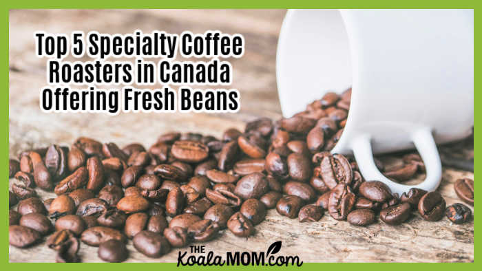 Top 5 Specialty Coffee Roasters in Canada Offering Fresh Beans. Photo of coffee beans spilling out of white coffee cup on wood table by Jessica Lewis 🦋 thepaintedsquare via Pexels.