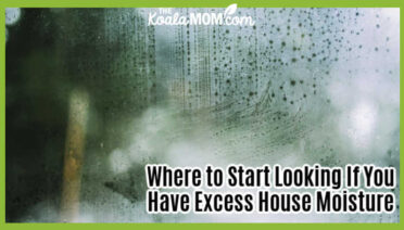 Where to Start Looking If You Have Excess House Moisture. Photo of moisture on a window by Cole Keister via Pexels.