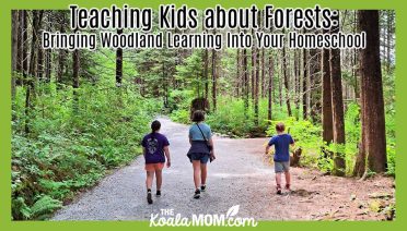 Teaching Kids about Forests: Bringing Woodland Learning Into Your Homeschool. Photo of three kids walking down a gravel trail through the forest by Bonnie Way.