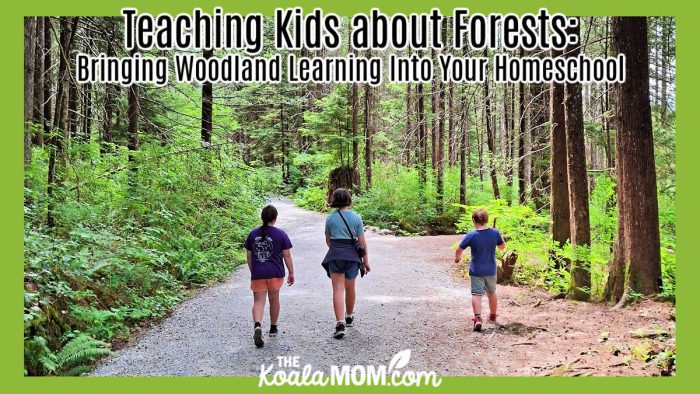 Teaching Kids about Forests: Bringing Woodland Learning Into Your Homeschool. Photo of three kids walking down a gravel trail through the forest by Bonnie Way.