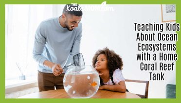 Teaching Kids About Ocean Ecosystems with a Home Coral Reef Tank. Photo of cat looking at home aquarium by MART PRODUCTION via Pexels.