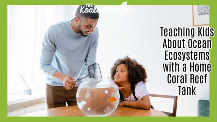 Teaching Kids About Ocean Ecosystems with a Home Coral Reef Tank. Photo of cat looking at home aquarium by MART PRODUCTION via Pexels.
