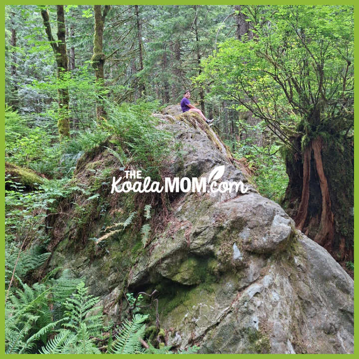 Photo of a girl sitting on a huge glacial erratic (boulder) in forest by Bonnie Way.