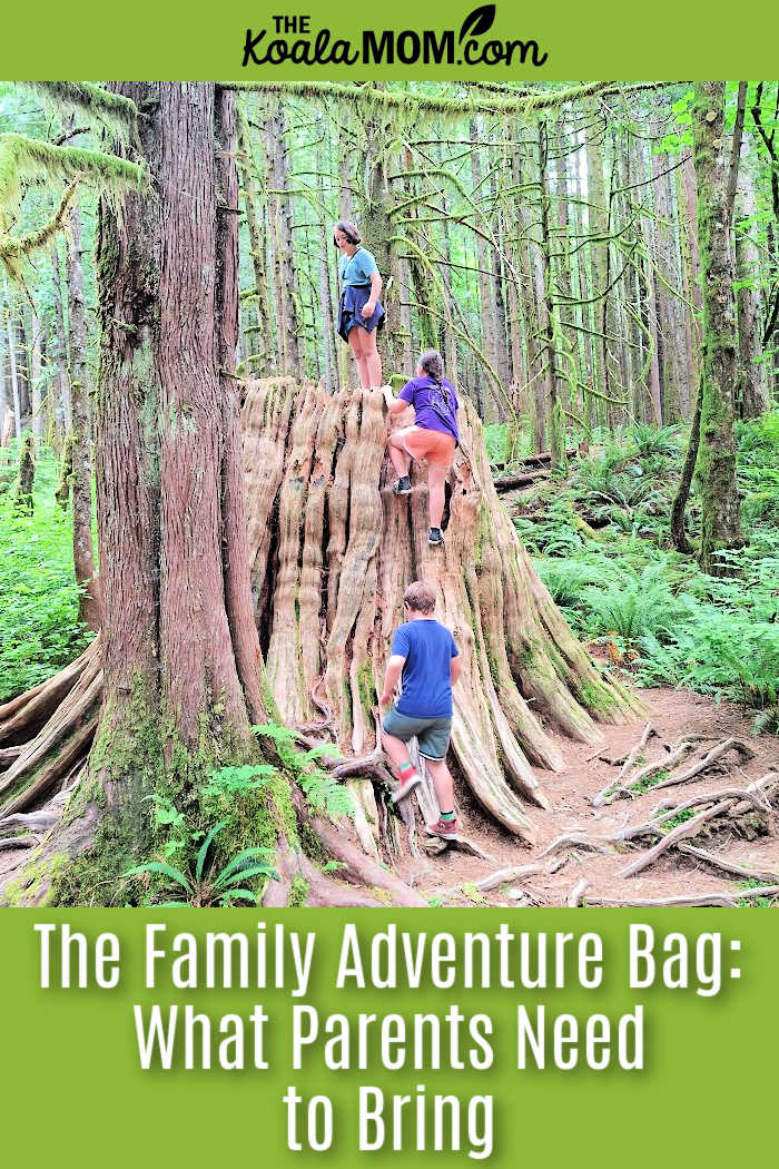 The Family Adventure Bag: What Parents Need to Bring. Photo of three kids playing in a big tree stump by Bonnie Way.