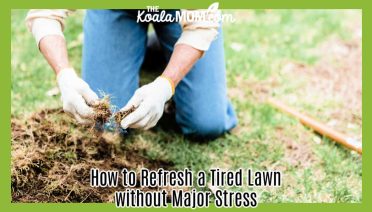 How to Refresh a Tired Lawn without Major Stress. Photo of woman with gloves and blue jeans kneeling beside a spotty patch of lawn by Greta Hoffman via Pexels.