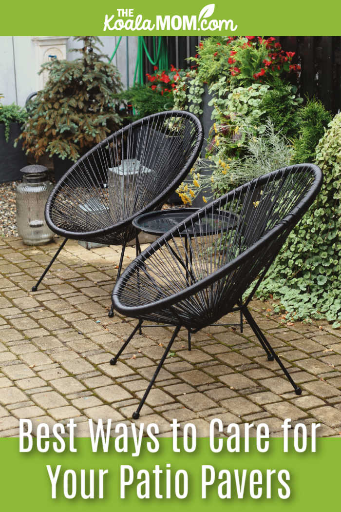Best Ways to Care for Your Patio Pavers. Photo of two round chairs sitting on paving stones by Ioana Motoc via Pexels.