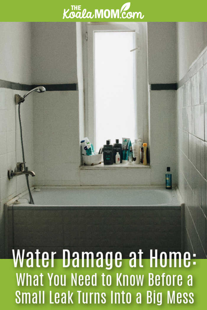 Water Damage at Home: What You Need to Know Before a Small Leak Turns Into a Big Mess. Photo of older tub in front of a window, with shampoos sitting on the window still, by Anastasiia Lopushynska via Pexels.