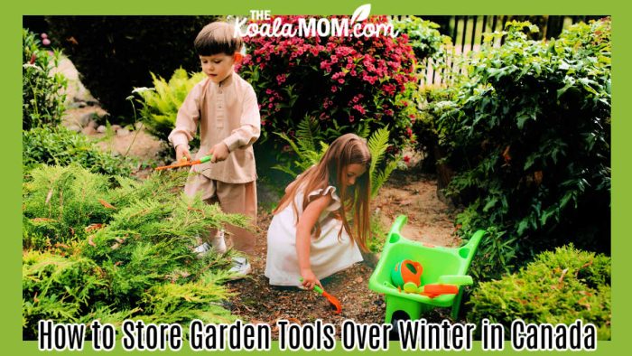 How to Store Garden Tools Over Winter in Canada. Photo of two children in a garden with small tools and a green wheelbarrow by Polesie Toys via Pexels.