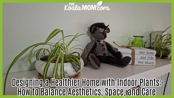 Designing a Healthier Home with Indoor Plants: How to Balance Aesthetics, Space, and Care. Photo of spider plant, tweed bear, white decorative books saying "our home, our life, our story" on a shelf by Bonnie Way.