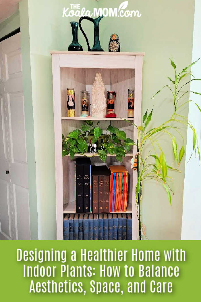 Designing a Healthier Home with Indoor Plants: How to Balance Aesthetics, Space, and Care. Photo of a bookshelf with an ivy plant on one shelf and a dracaena plant beside it by Bonnie Way.