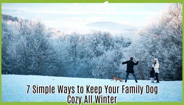 7 Simple Ways to Keep Your Family Dog Cozy All Winter. Photo of family playing on snowy hill with dog by Go to Krisztina Papp's profile Krisztina Papp via Unsplash.