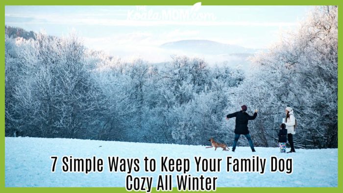 7 Simple Ways to Keep Your Family Dog Cozy All Winter. Photo of family playing on snowy hill with dog by Go to Krisztina Papp's profile
Krisztina Papp via Unsplash.