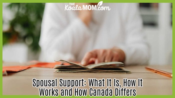 Spousal Support: What It Is, How It Works and How Canada Differs. Photo of woman looking at pile of money on a table by https://kaboompics.com/ via Pexels.